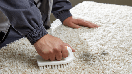 Professional Rug Cleaning Drumcondra